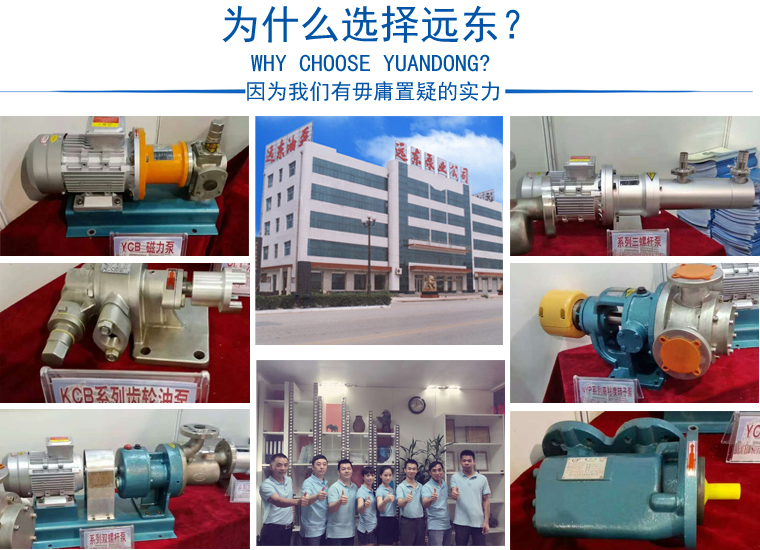 NYP110B-RU-104U-W51不銹鋼高粘度泵 NYP110B-RU-104U-W51不銹鋼高粘度泵