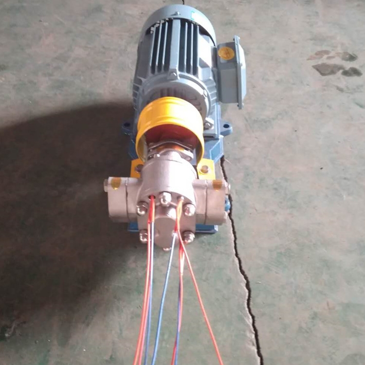 夾套保溫電加熱齒輪泵 夾套保溫電加熱齒輪泵